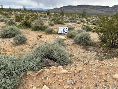 Lot 102