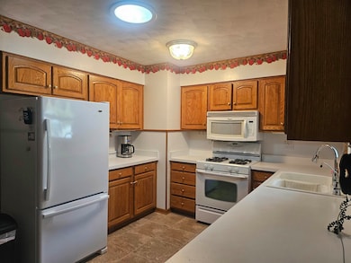 232 E 10th St, Pecatonica, IL 61063 - photo 4