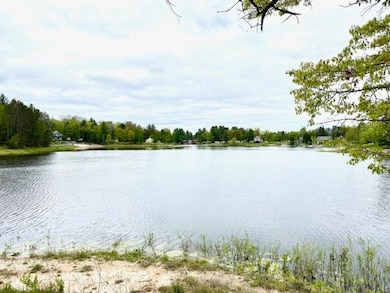 4682 Mohawk Trail, Gladwin, MI 48624 - photo 5