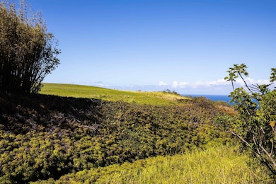 17 Kai Huki St, Haiku-Pauwela, HI 96708 - photo 4