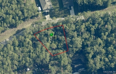 1926 W Rolling Place, Citrus Springs, FL 34434 - photo 4