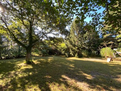 Large yard with mature plantings