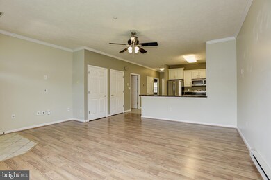 129 Sunbrook Ln unit 129, Hagerstown, MD 21742 - photo 5