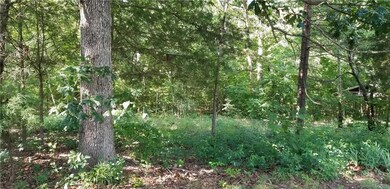 0001 Cardinal Ave, Little River, NC 27371 - photo 2