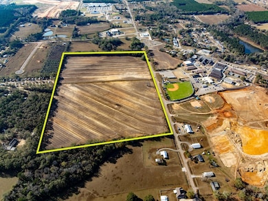 51.8+-ac Hadden Rd, Rehobeth, AL 36301 - photo 3