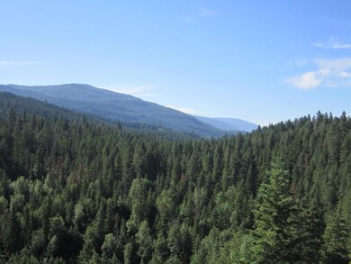 33010 Delaro Ranch Rd, Bigfork, MT 59911 - photo 2