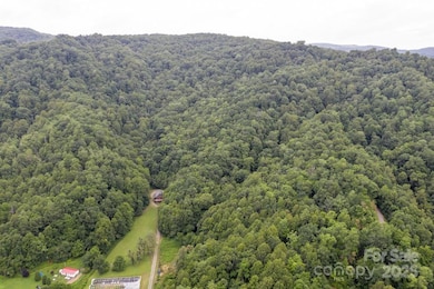 8020 Meadow Fork Rd, Hot Springs, NC 28743 - photo 5