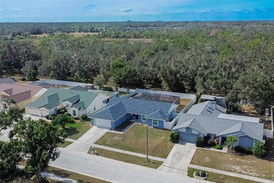 10411 Brushfield St, Riverview, FL 33569 - photo 2