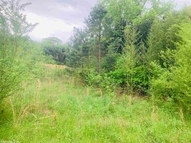 27909 Nichols Loop Rd, Little Rock, AR 72223 - photo 3