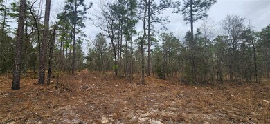 000 SW 92nd Place, Dunnellon, FL 34432 - photo 4