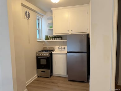 Hartley House unit 2T, Flushing, NY 11354 - photo 4