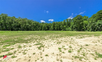 790 Chalybeate Springs Rd, Plain Dealing, LA 71064 - photo 4