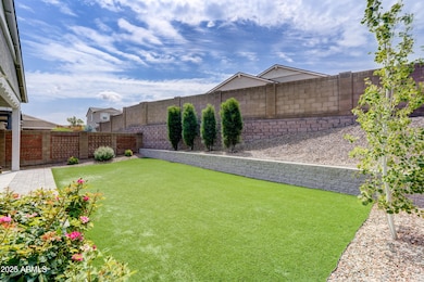 Back Yard 2