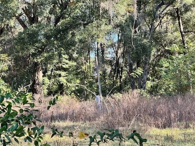 17901 NE 18th Ave, Citra, FL 32113 - photo 4