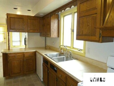 319 Home Ave, Lincoln, IL 62656 - photo 7