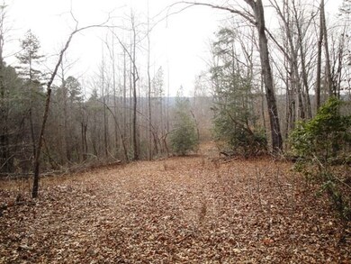 Lot Q-2 the Bear Blvd, Tamassee, SC 29686 - photo 6