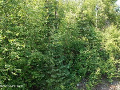 17643 E Castle Rock Ln, Palmer, AK 99645 - photo 3