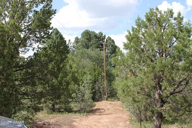 2612 Mescalero Dr, Show Low, AZ 85901 - photo 5