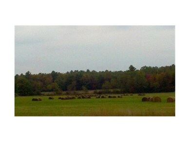 Has been used as a hay field...