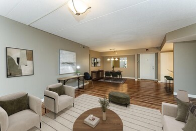 625 19th St NW unit 603, Rochester, MN 55901 - photo 7