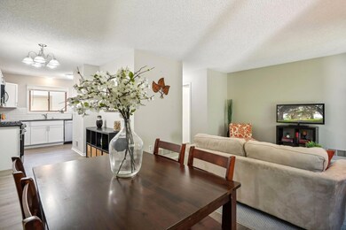 10682 Hummingbird St NW, Coon Rapids, MN 55433 - photo 6