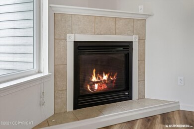 Nat Gas Fireplace
