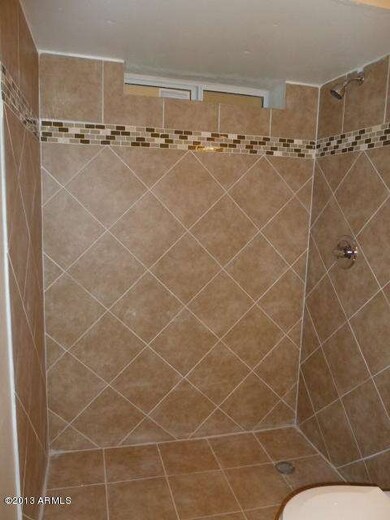 HALL BATHROOM New Tile Shower