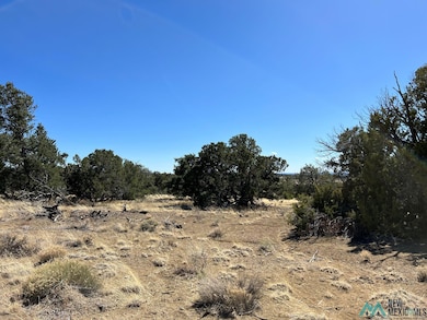 89 Ponderosa View Loop, Pie Town, NM 87827 - photo 3