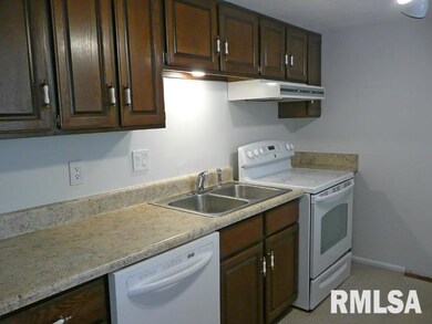 4608 Warren St unit 3, Davenport, IA 52806 - photo 4