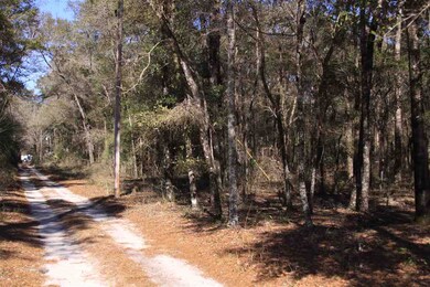 105 Purify Bay Rd, Crawfordville, FL 32327 - photo 4