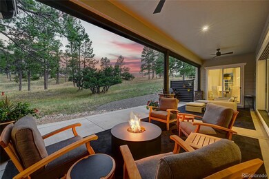 9228 Lone Timber Ct, Parker, CO 80134 - photo 5