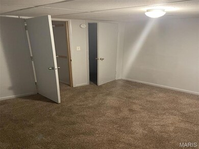 714 Saint Norbert Dr, East Saint Louis, IL 62206 - photo 7