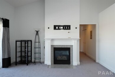 4527 N Tallgrass Ln unit 201, Peoria, IL 61615 - photo 7