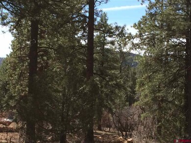 0 Engine Creek Ct unit 731546, Durango, CO 81301 - photo 5