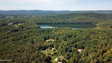 225 Long Pond Rd, Great Barrington, MA 01230 - photo 4