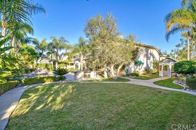 Large backyard with plenty of room!
