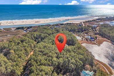 Birds eye view of property with a water view and a