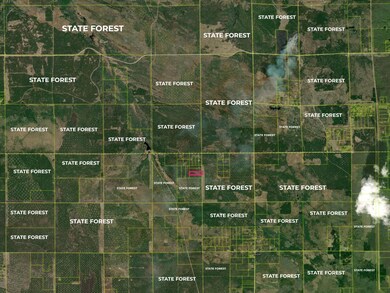 STATE FOREST
