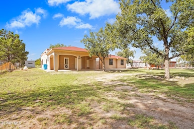 300 Ruffian Way, Clint, TX 79836 - photo 6