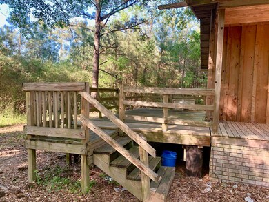 33 Dinan Salem Rd, Tylertown, MS 39667 - photo 3