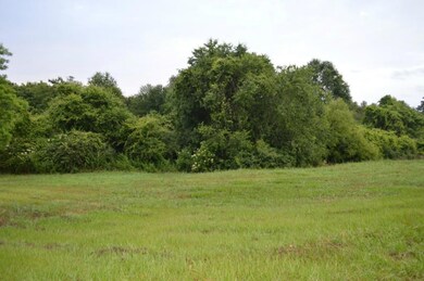 0 J W Taylor Rd, Franklinton, LA 70438 - photo 3