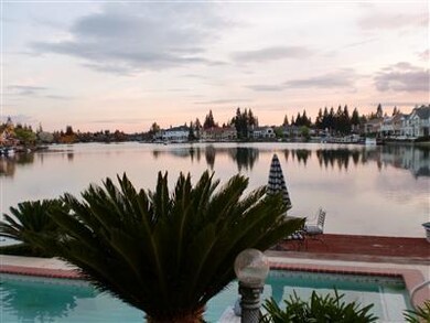 An abundance of sego palms add a tropical touch to