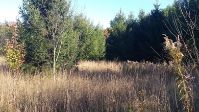 20151103_150609
