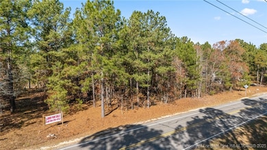 2746 Union Church Rd, Carthage, NC 28327 - photo 4