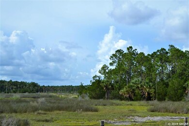 00 Yates Creek Rd, Perry, FL 32348 - photo 6