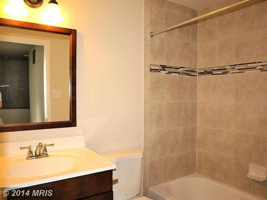 9805 Rainleaf Ct, Columbia, MD 21046 - photo 7