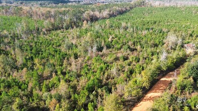 159 Dakota Rd, McKenzie, AL 36456 - photo 5