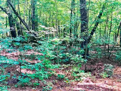 Lot 4 Arcadia Ln, Pittsboro, NC 27312 - photo 4