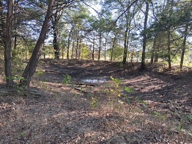 1071 Cr 2205, Ivanhoe, TX 75447 - photo 2