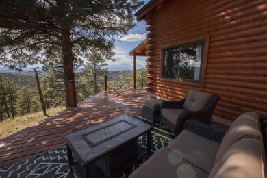 33441 Mountain View, Trinidad, CO 81082 - photo 4